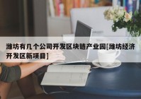 潍坊有几个公司开发区块链产业园[潍坊经济开发区新项目]